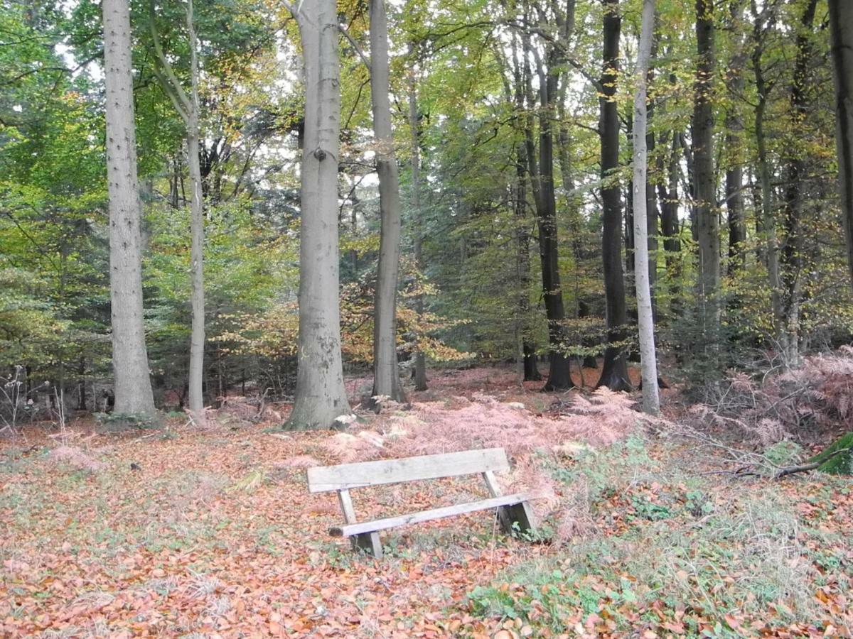 Ferienwohnung Meyenburg Schwanewede エクステリア 写真